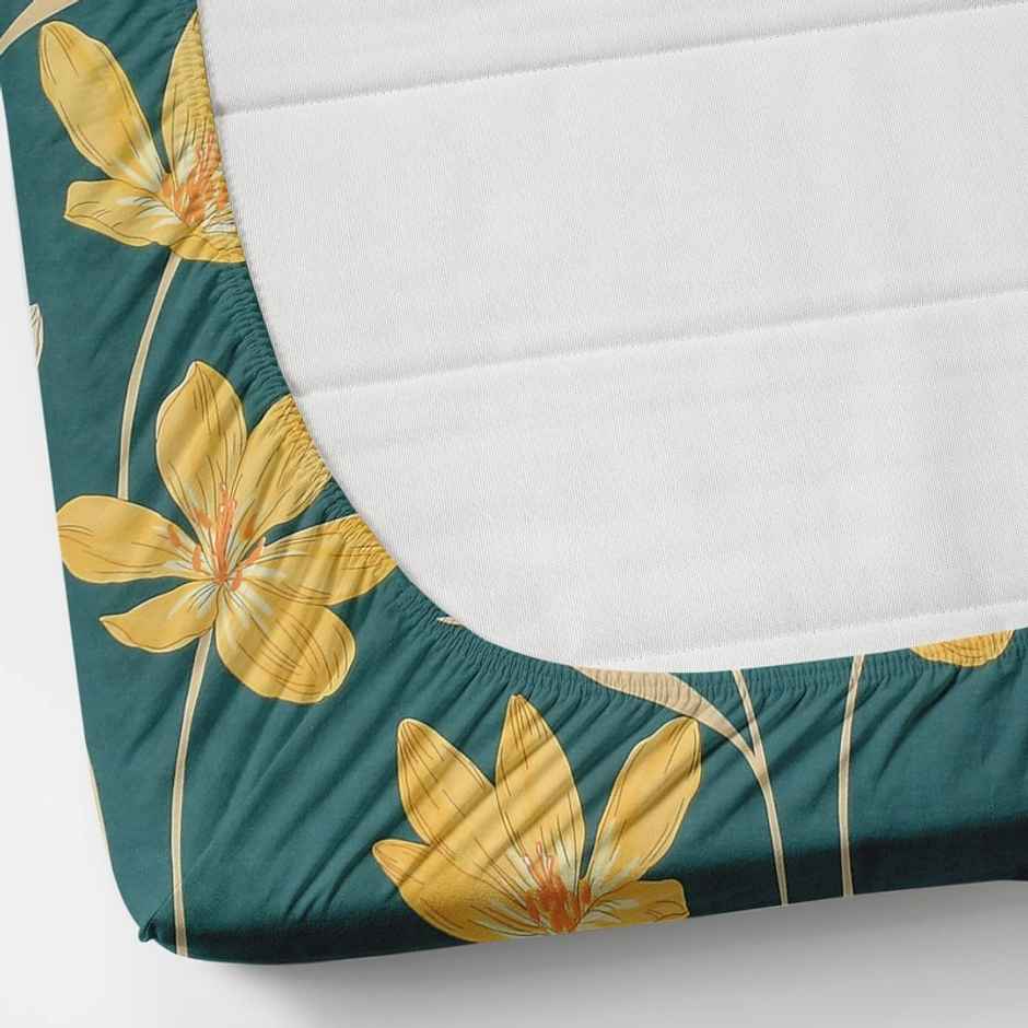 Florida Reeva Elastic Fitted Bedsheet for Double Size Bed with Pillow Covers & Made of Cotton