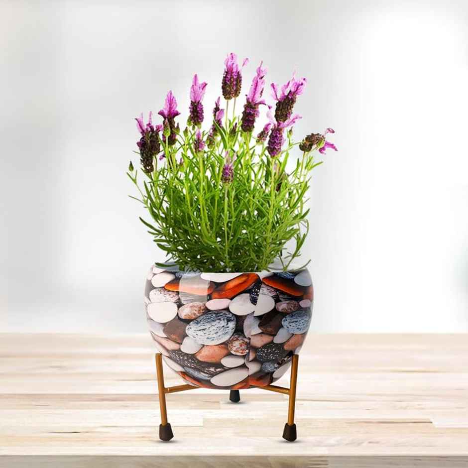Peng Essentials Reva Home Decor Vase With Stand I Desktop/Bedroom Corner Table/Home Decor Centepie