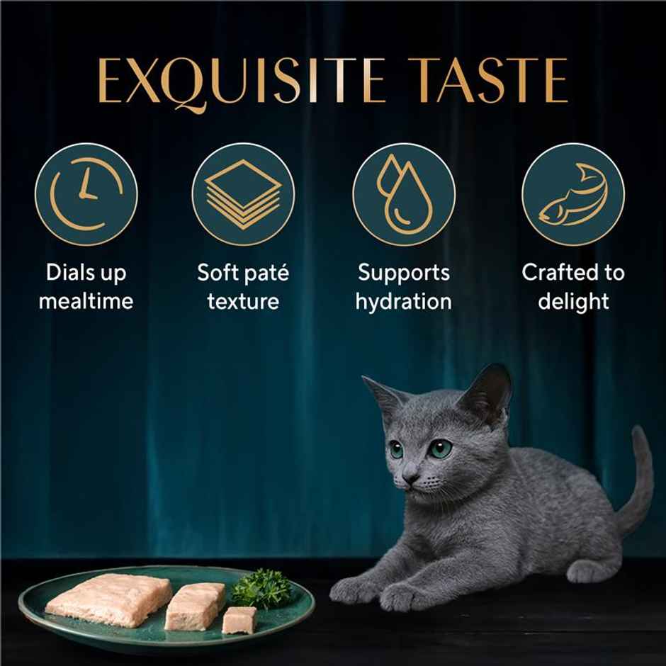 Sheba Pate Kitten Wet Cat Food | Maguro