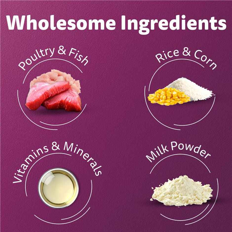 Whiskas Kitten Dry Cat Food, Mackerel Flavour | 2-12 months