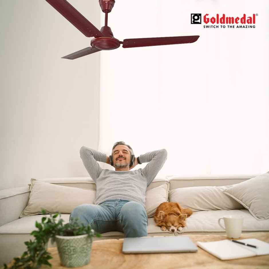 Goldmedal Vayu 400 Economy Ceiling Fan, 1200mm, Ultra High Speed, BEE Star Rated, Efficient, Brown