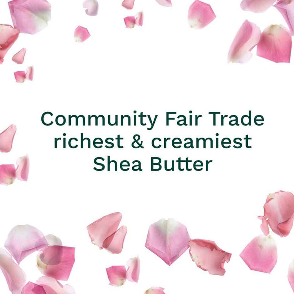 The Body Shop British Rose Body Butter