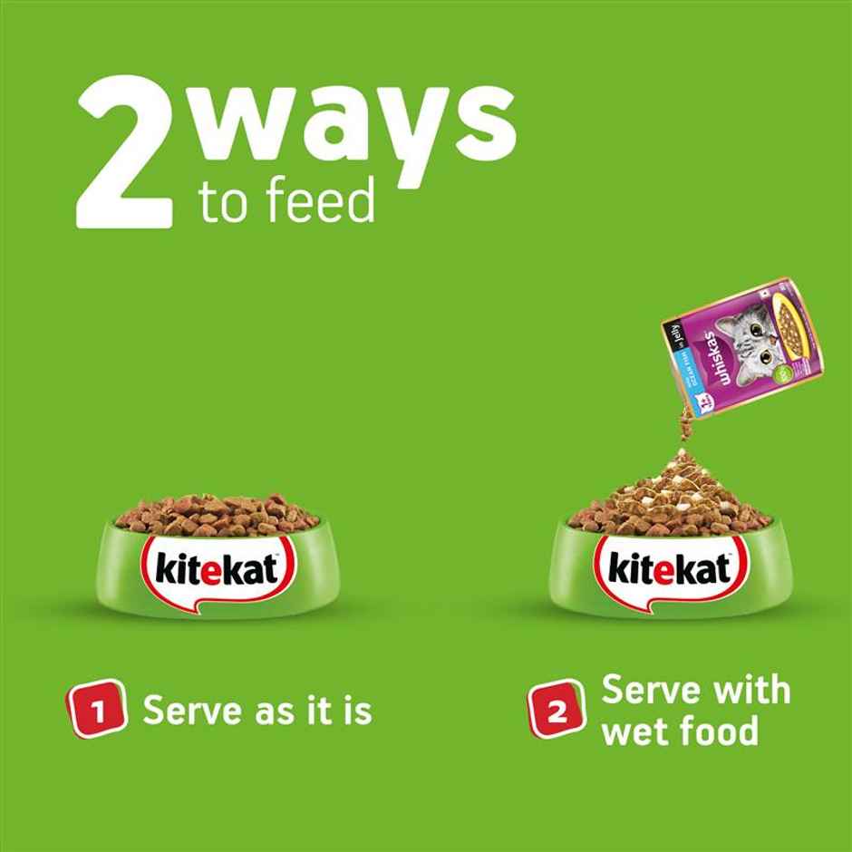 Kitekat Adult Dry Cat Food | Ocean Fish Flavour | 1+ Years