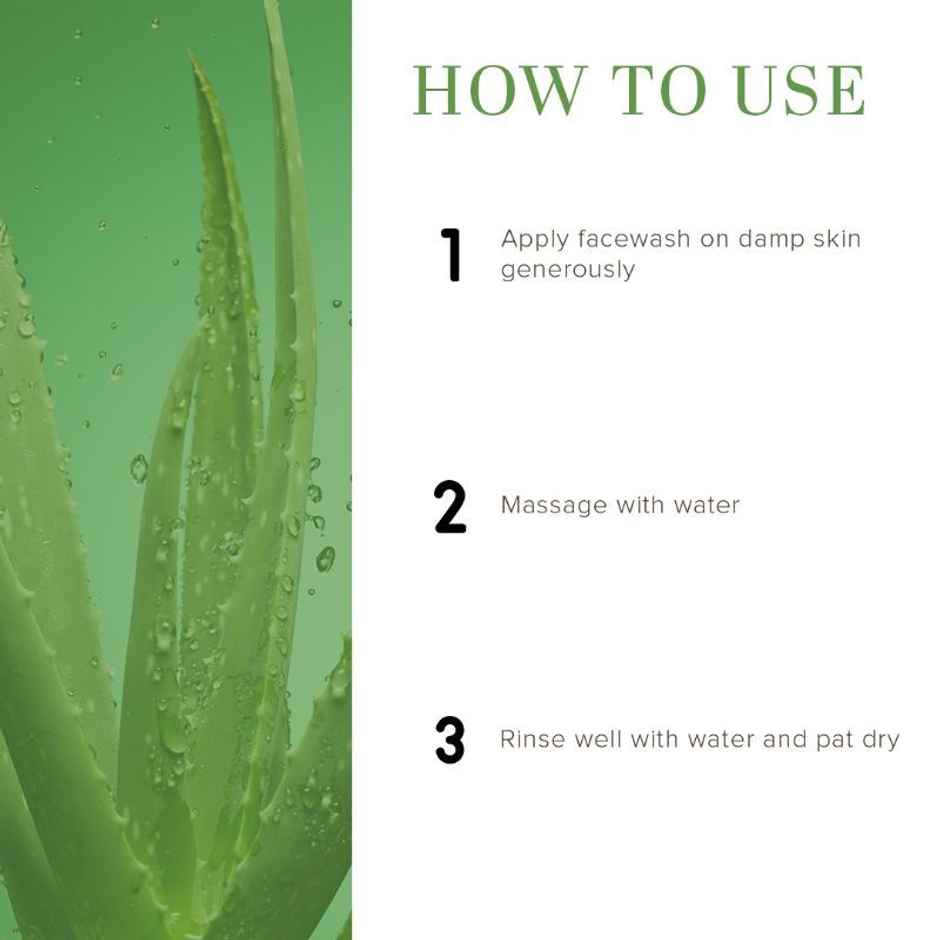 Khadi Natural Aloevera With Scrub Face Wash Sls & Paraben