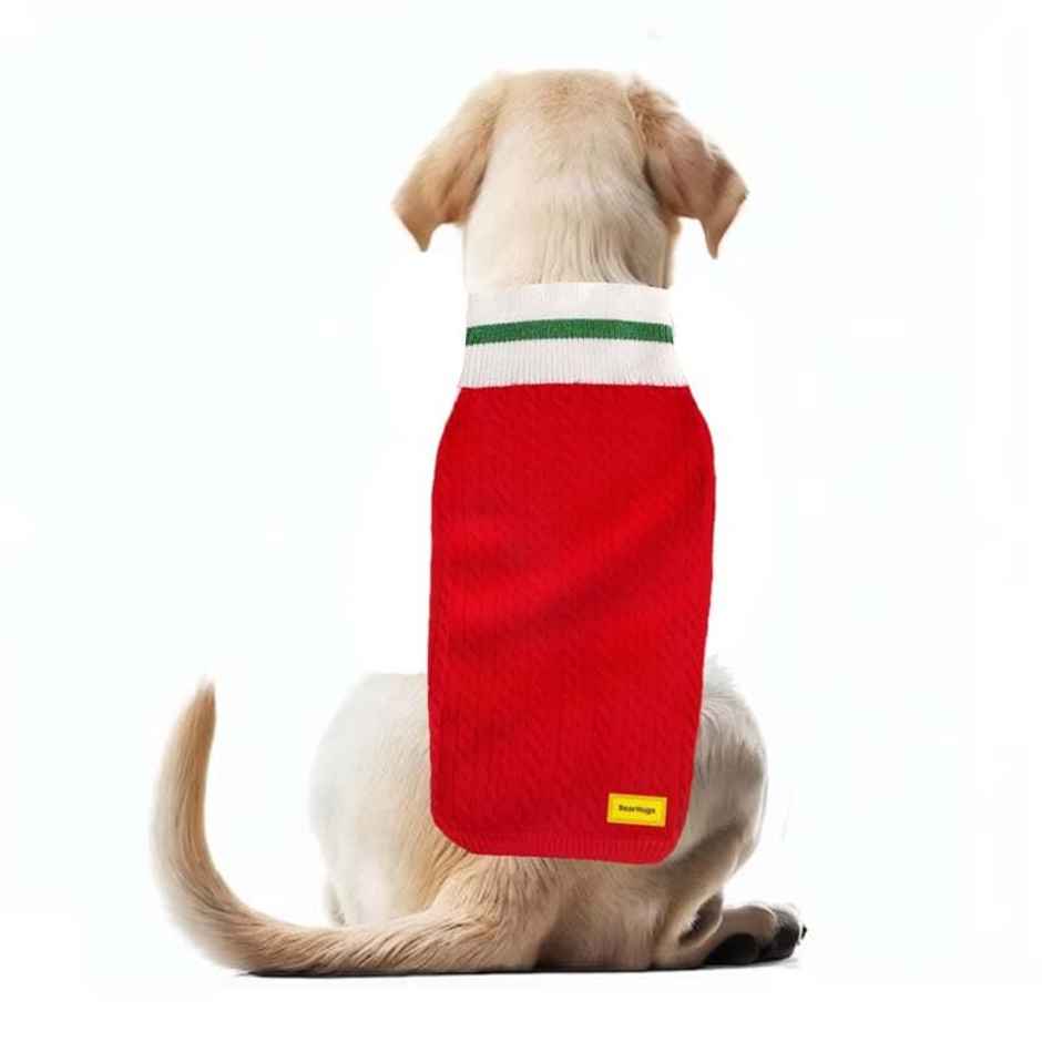 Bearhugs Red Highneck Sweater For Dogs L