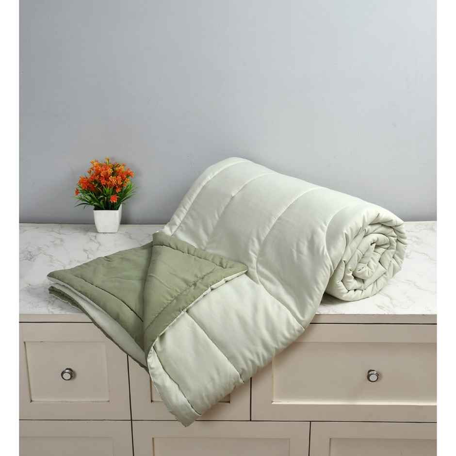 Florida Impress Reversible AC Comforter for Double Bed Made with Microfiber | Pista