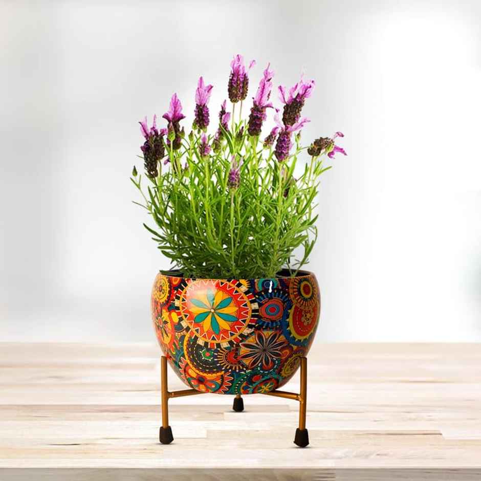 Peng Essentials Reva Home Dcor Vase With Stand I Desktop/Bedroom Corner Table/Home Dcor Centepiece