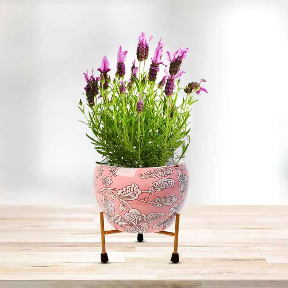 Peng Essentials Reva Home Decor Vase With Stand I Desktop/Bedroom Corner Table/Home Decor Centepie