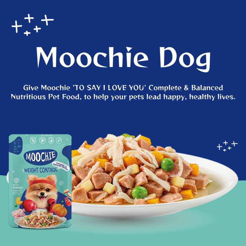 Moochie Dog Wet Food - Weight Control - Casserole With Turkey Gravy | Grain-Free