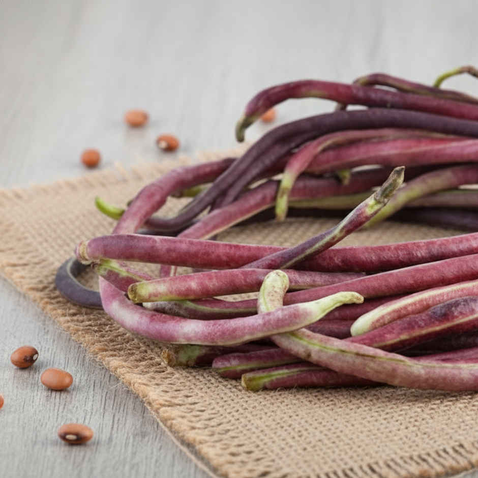 Beans Cowpea Red