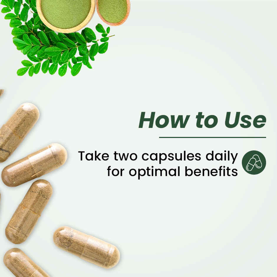 Ayuvya Moringa Capsules for Health & Wellness