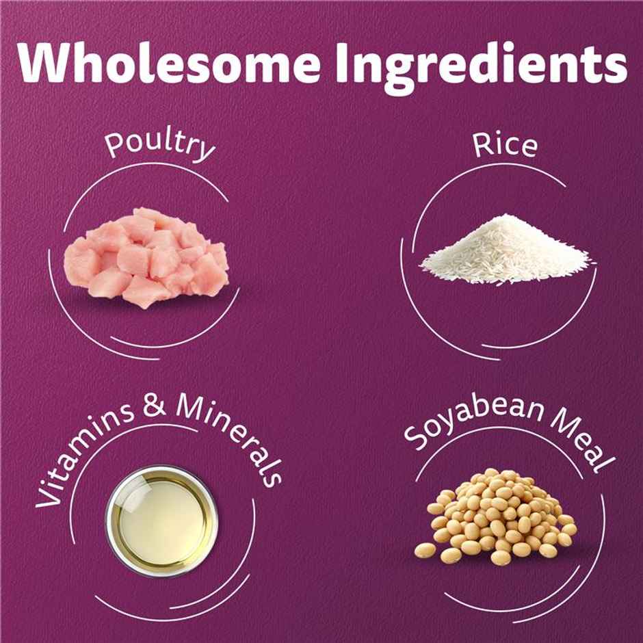 Whiskas Adult Chicken Flavour Dry Cat Food