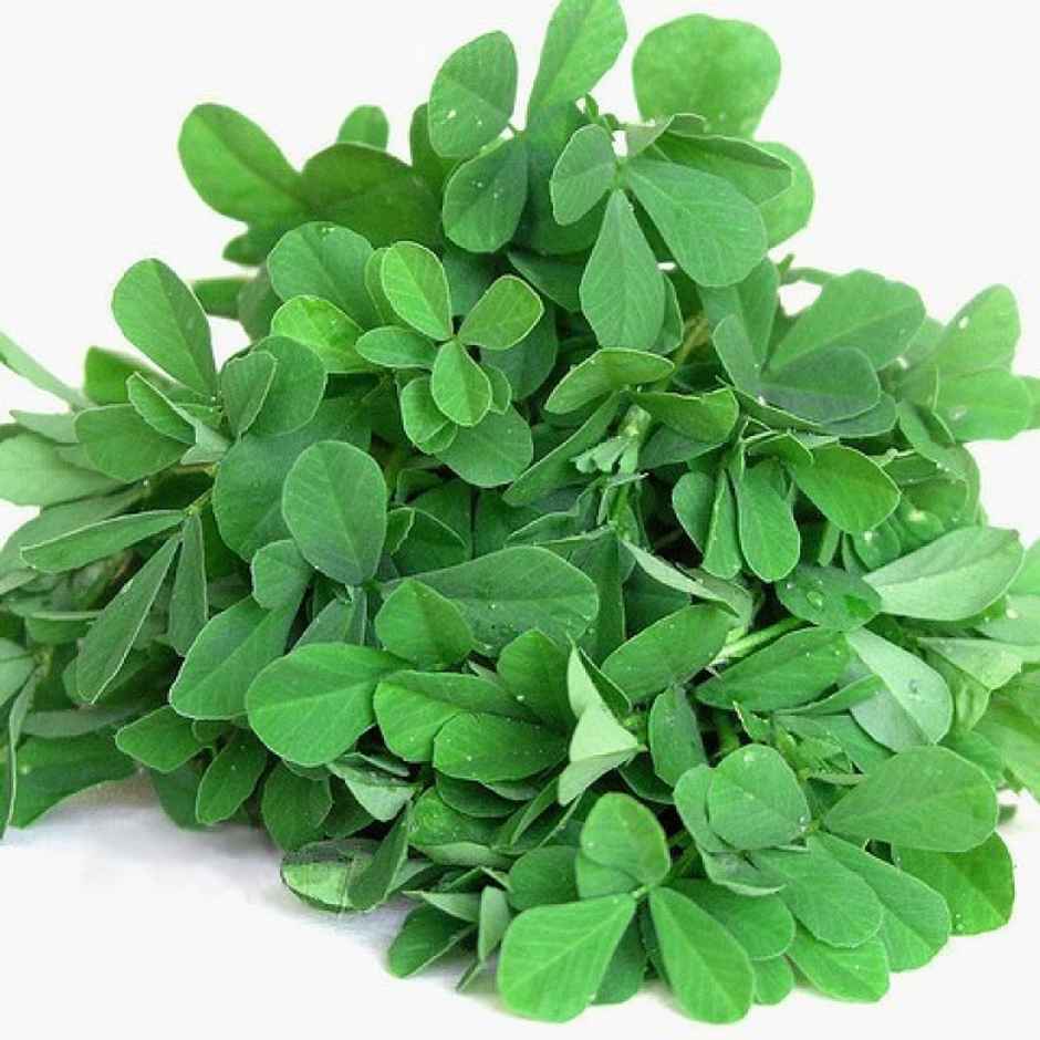Fenugreek Leaves (Methi)