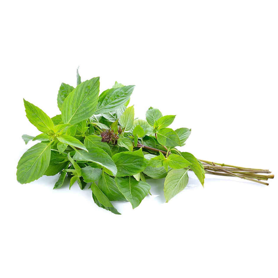 Thai Sweet Basil
