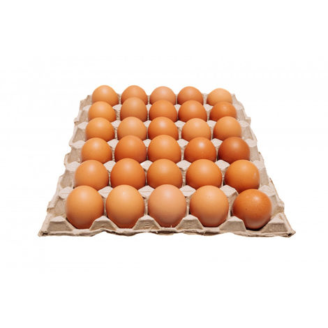 Fresh Brown Eggs