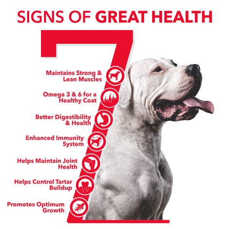 Active Adult Chicken And Vegetables Dry Dog Food