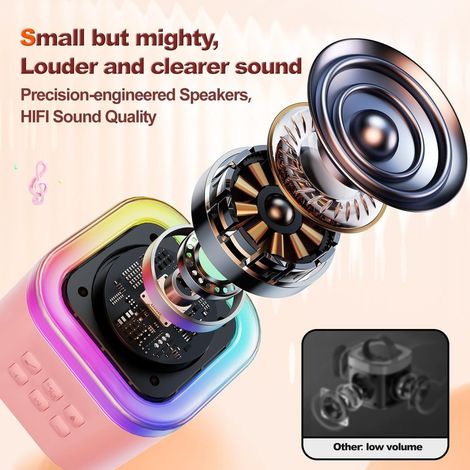 Fablue Kids Wireless Karaoke Microphone Portable Bluetooth Speaker Toy for Toddlers - Pink Color