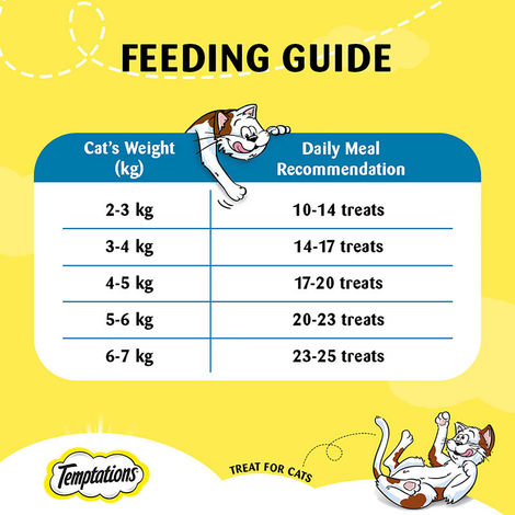 Temptations Adult Savoury Salmon Flavour Cat Treats