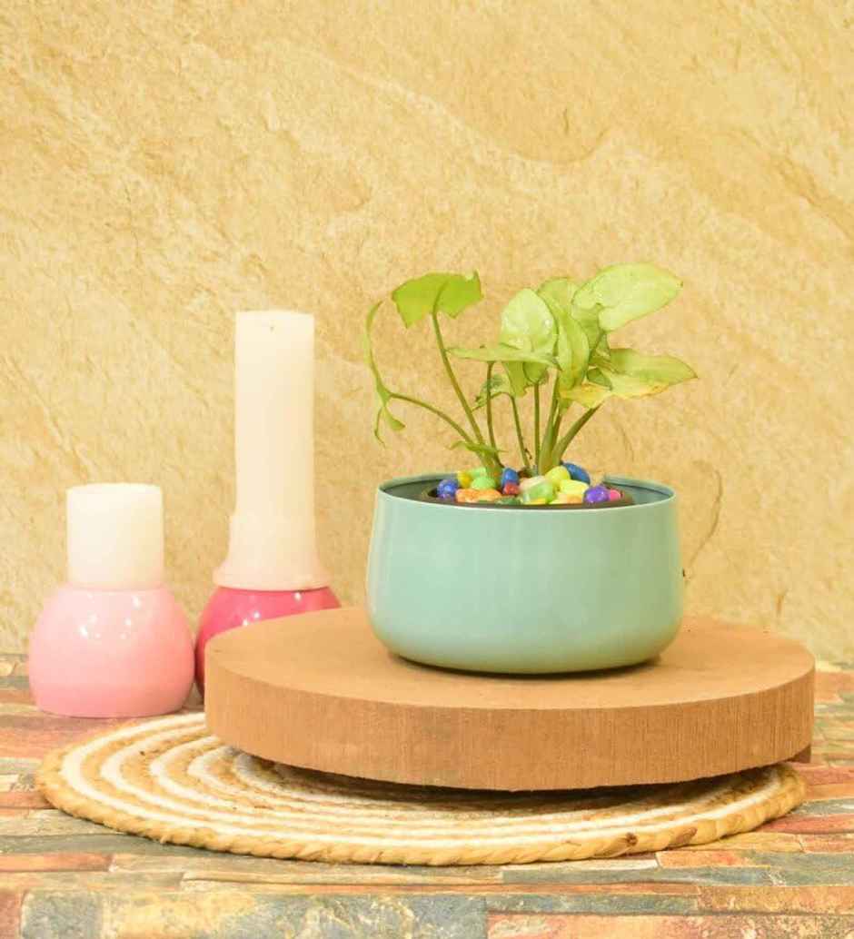 CasaCraft Pepperfry Everett Iron Blue Planter Pot Round Decorative Rust-Resistant for Indoor Plants