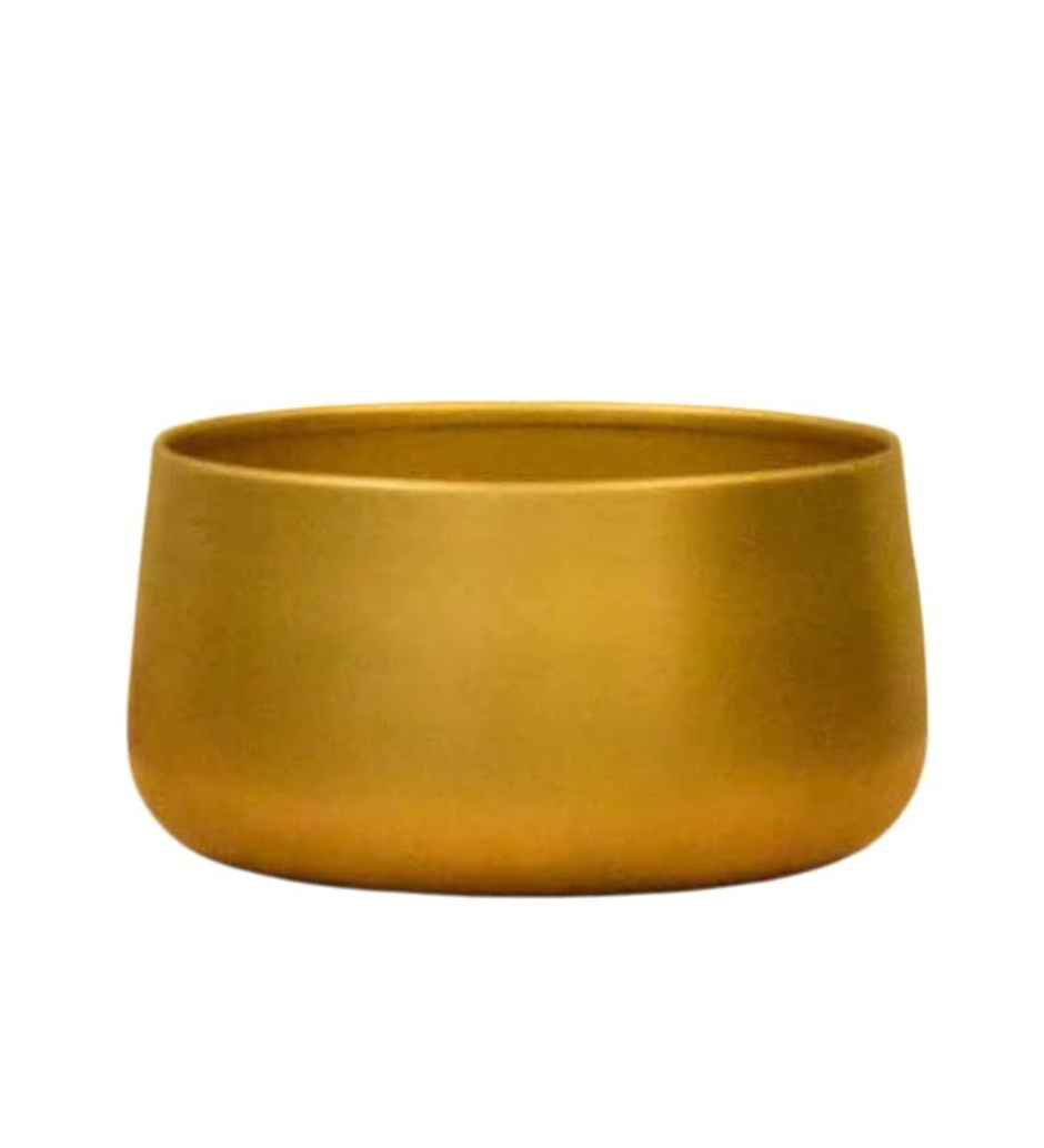 CasaCraft Pepperfry Tanner Gold Iron Planter Pot Round Decorative Rust-Resistant for Indoor Plants