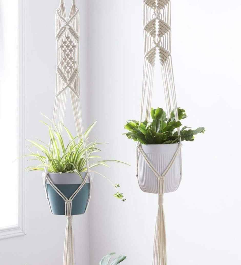 CasaCraft Pepperfry Macrame Cotton Pack of 2 (Without Pot) Off-White Rope Flower Hanging Planter