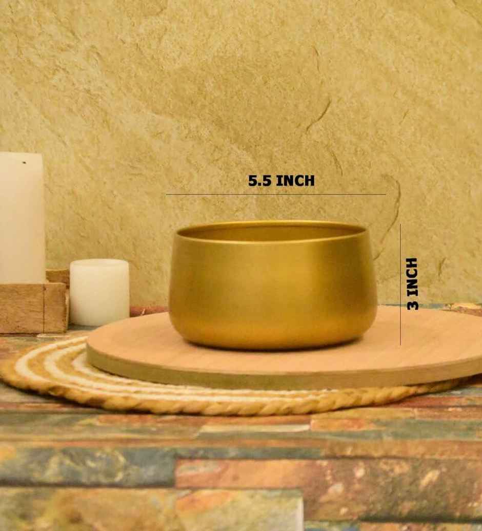 CasaCraft Pepperfry Tanner Gold Iron Planter Pot Round Decorative Rust-Resistant for Indoor Plants