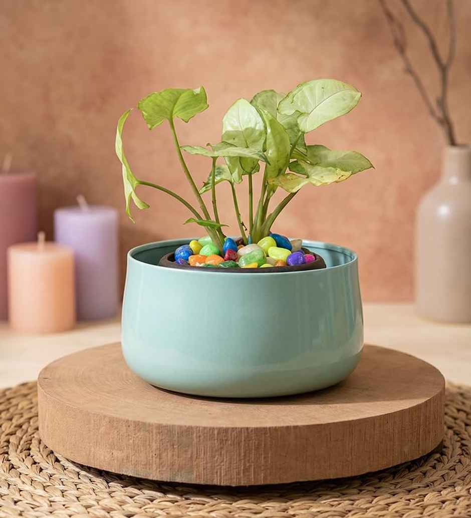 CasaCraft Pepperfry Everett Iron Blue Planter Pot Round Decorative Rust-Resistant for Indoor Plants