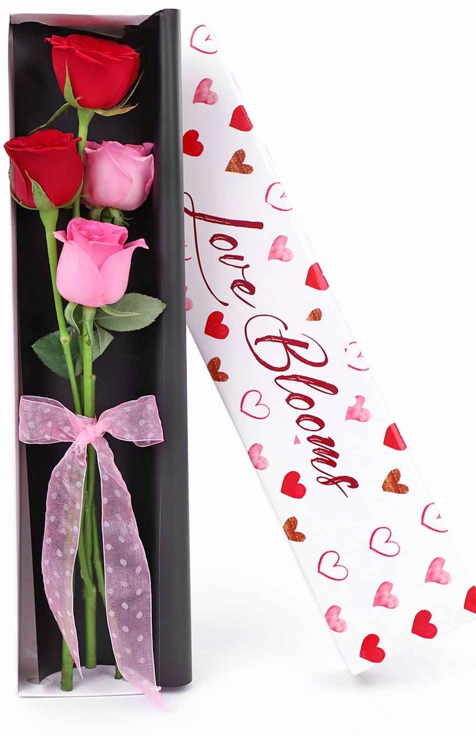 IGP Box of 4 Charming Roses