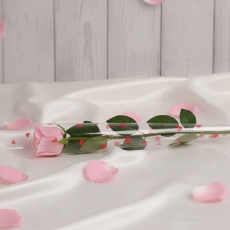 Single Pink Rose