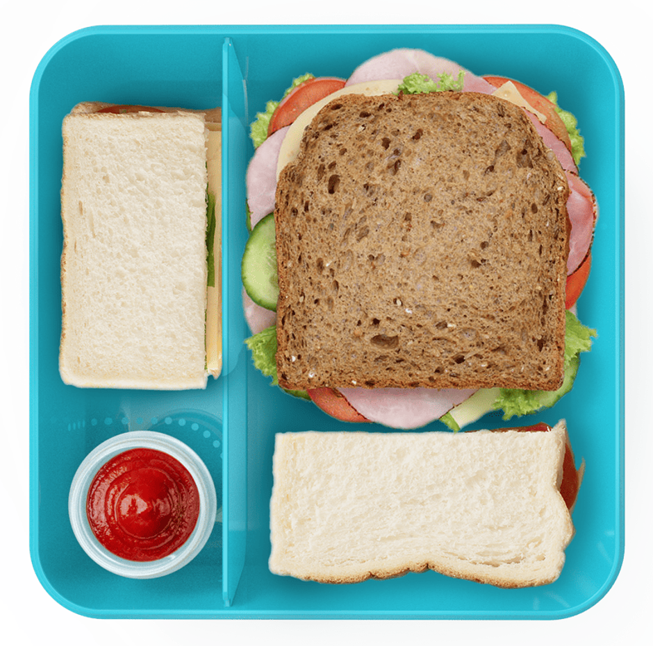 All Time Salad Lunch Box With Dip Container | 1450 ml (Colour May Vary)