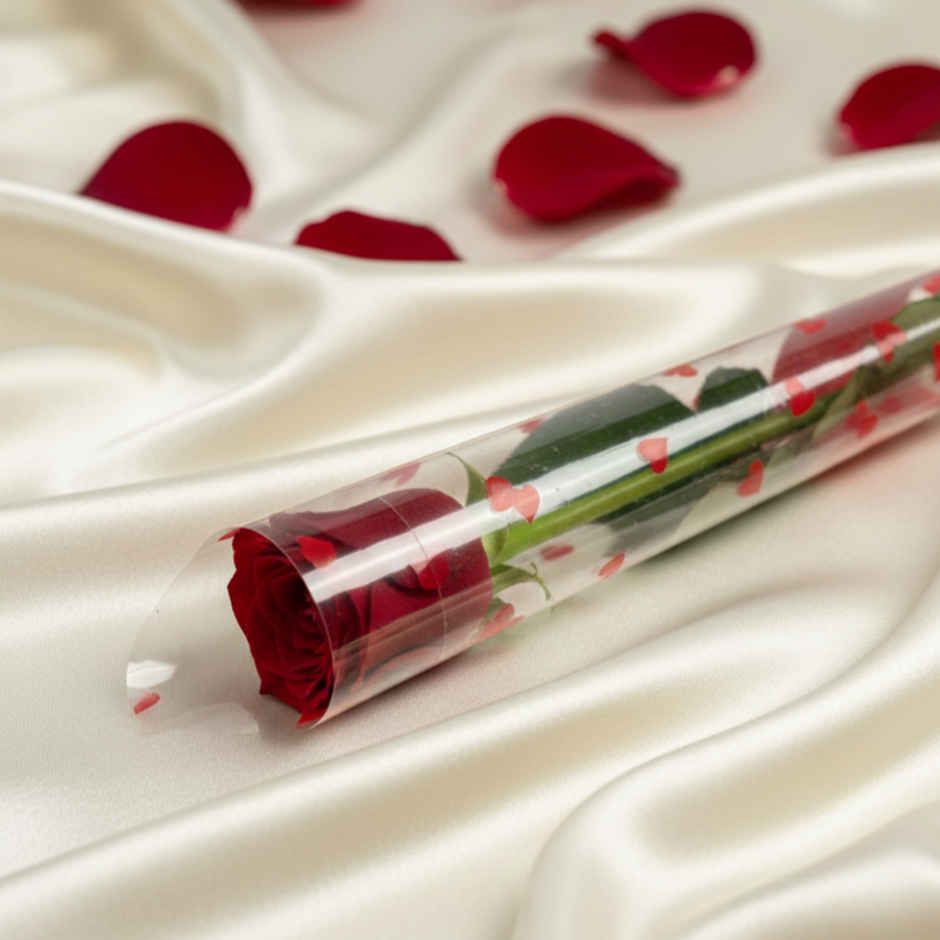 Single Red Rose | Father's Day Gifting