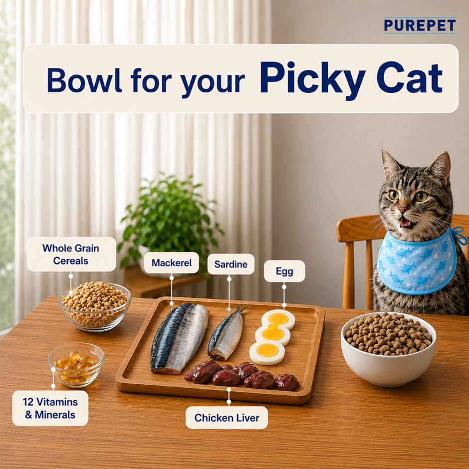 Purepet Ocean Fish Adult Dry Cat Food