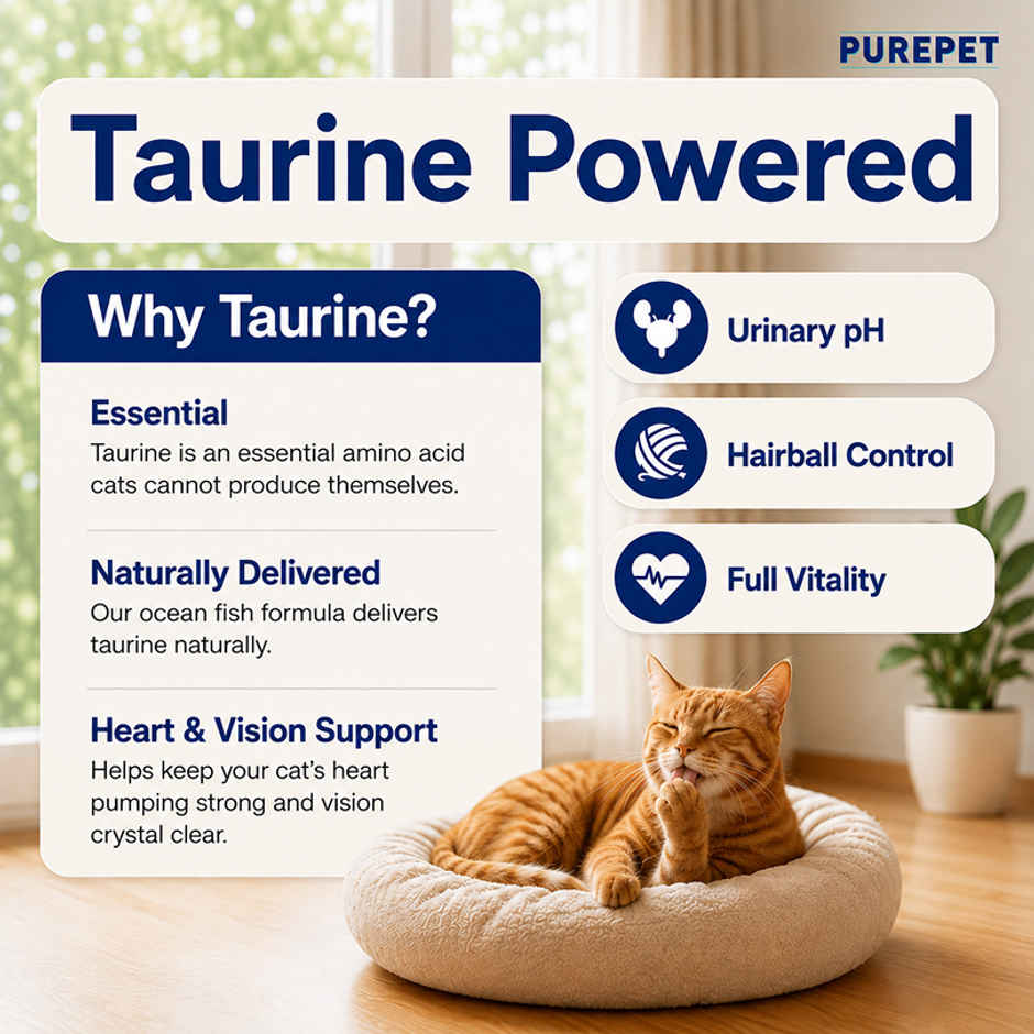 Purepet Ocean Fish Adult Dry Cat Food