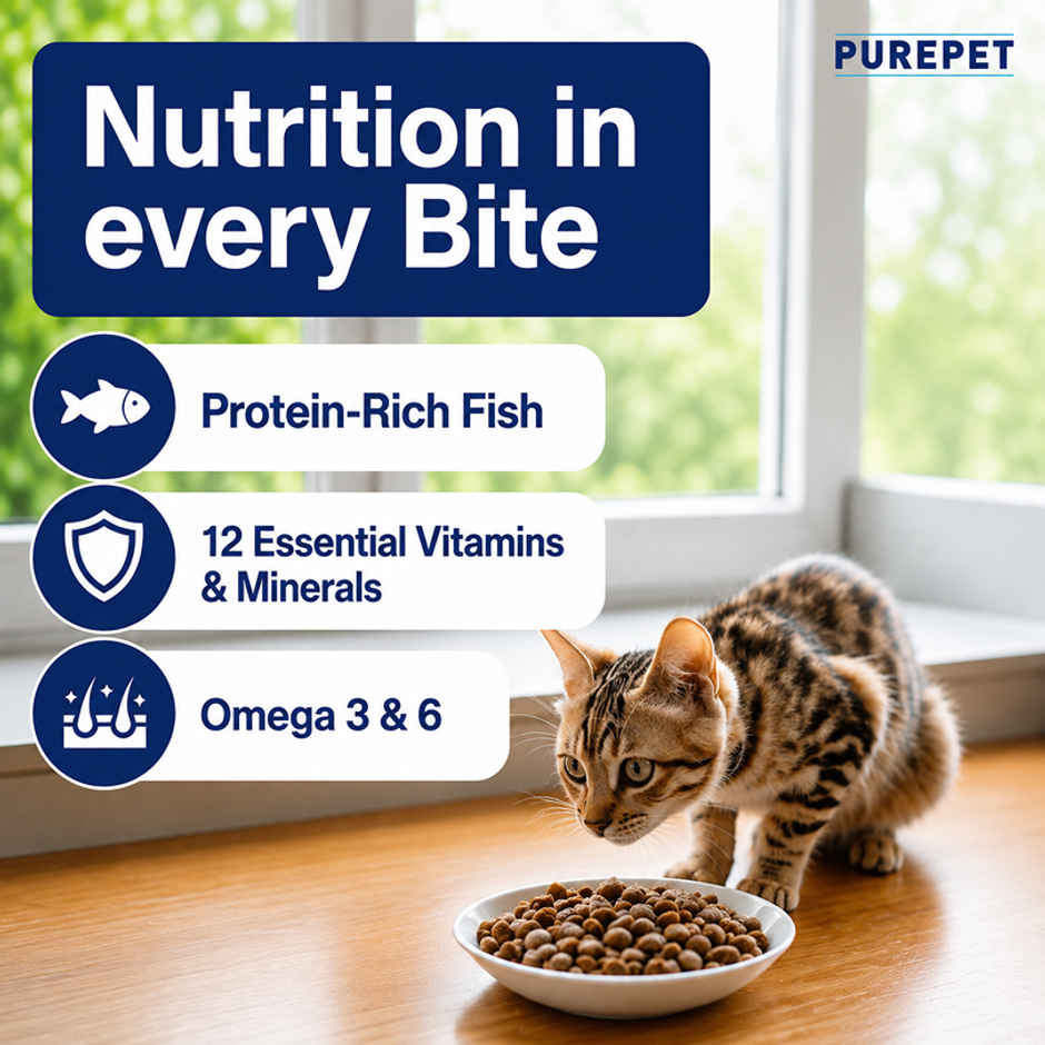 Purepet Ocean Fish Adult Dry Cat Food