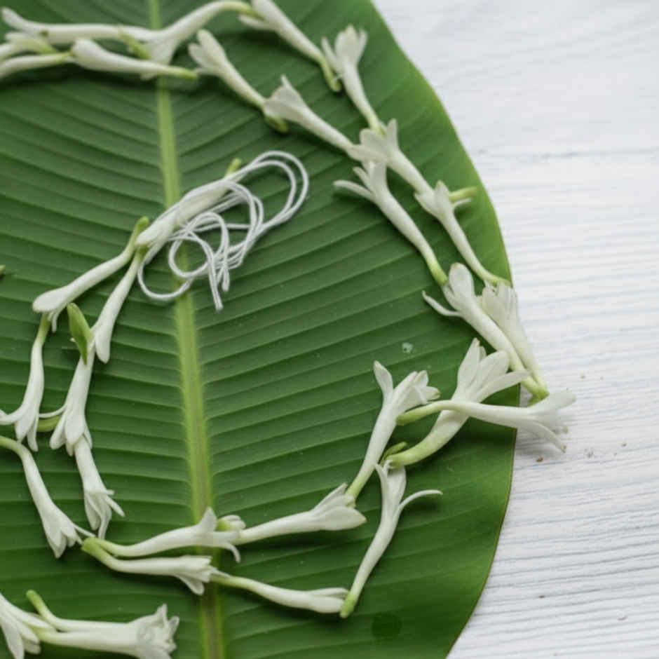 Rajnigandha Flower String Combo