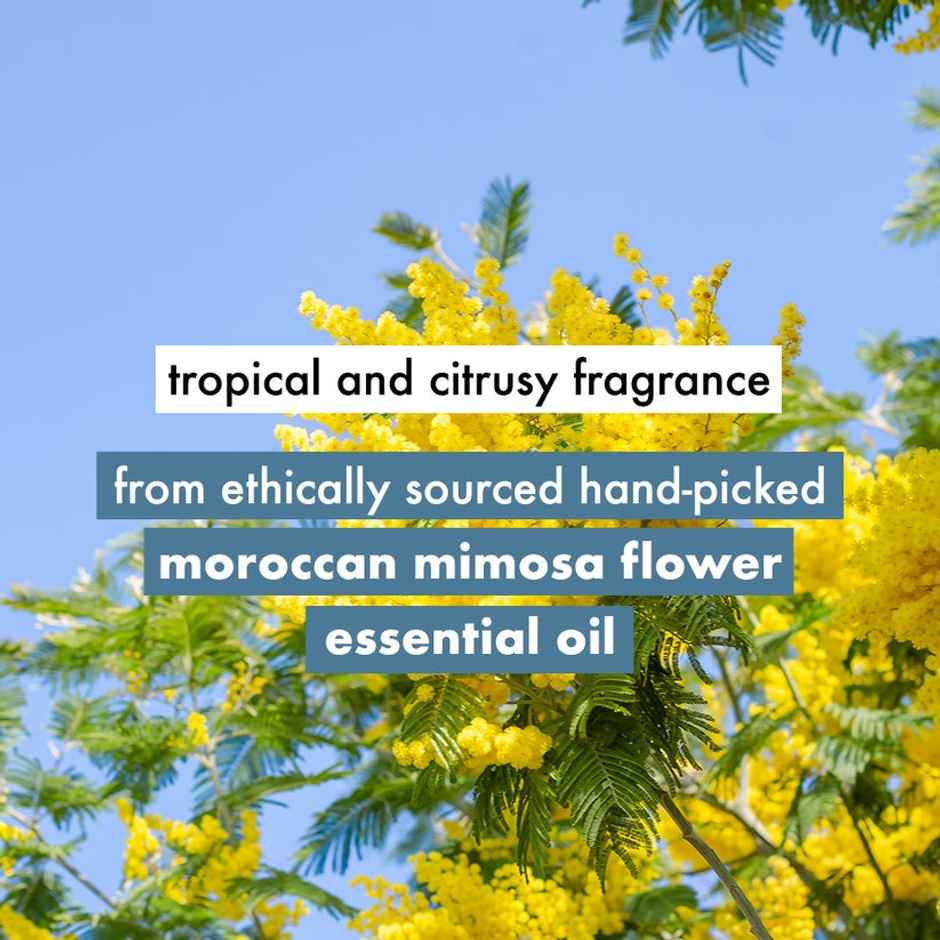 Love Beauty & Planet Coconut Water And Mimosa Flower Paraben Free Volume And Bounty Conditioner