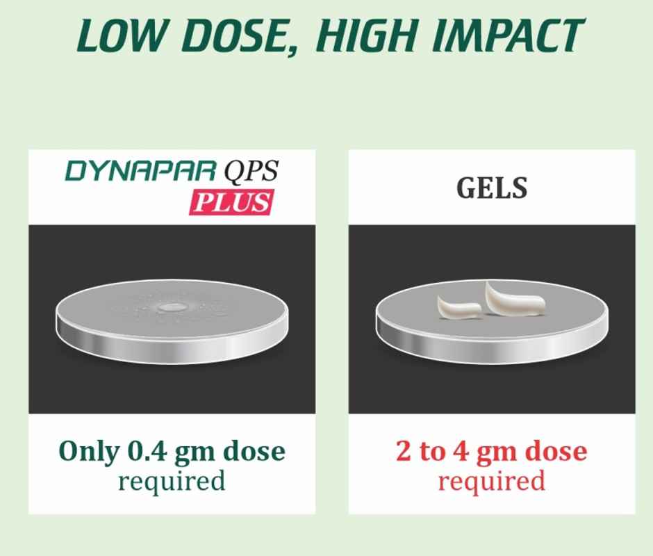 Dynapar QPS Plus Pain Relief Spray for Back Knee Muscle and Joint Pain 