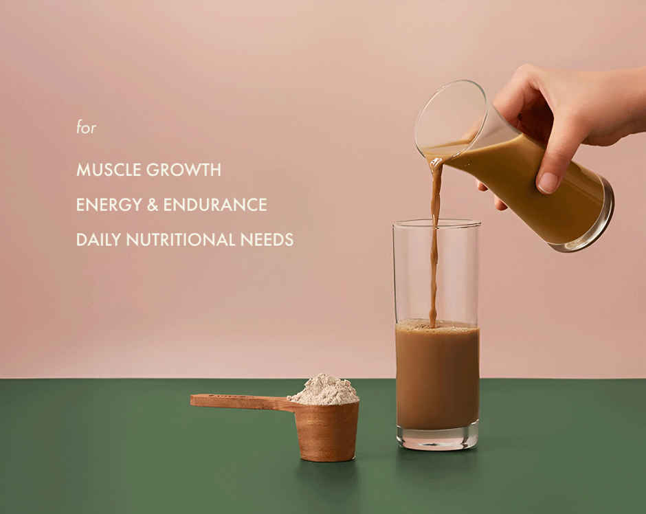 Cosmix No-Nonsense Plant Protein Malnad Arabica Coffee, 24g Protein