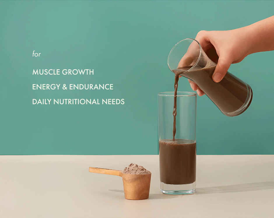 Cosmix No-Nonsense Plant Protein Mint Cacao, 24g Protein