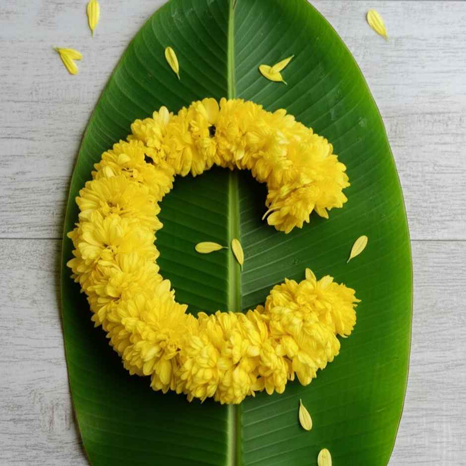 Chrysanthemum Flower String