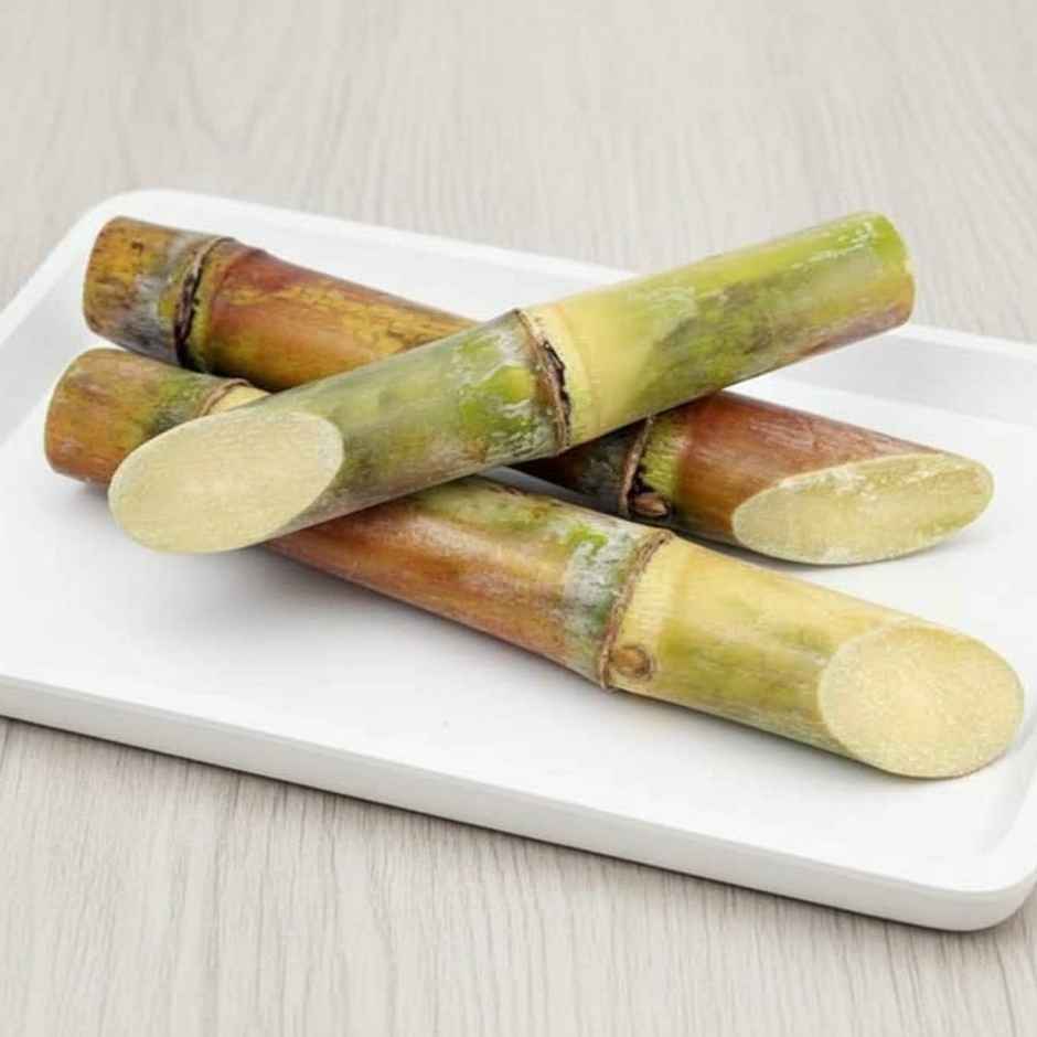 Sugarcane