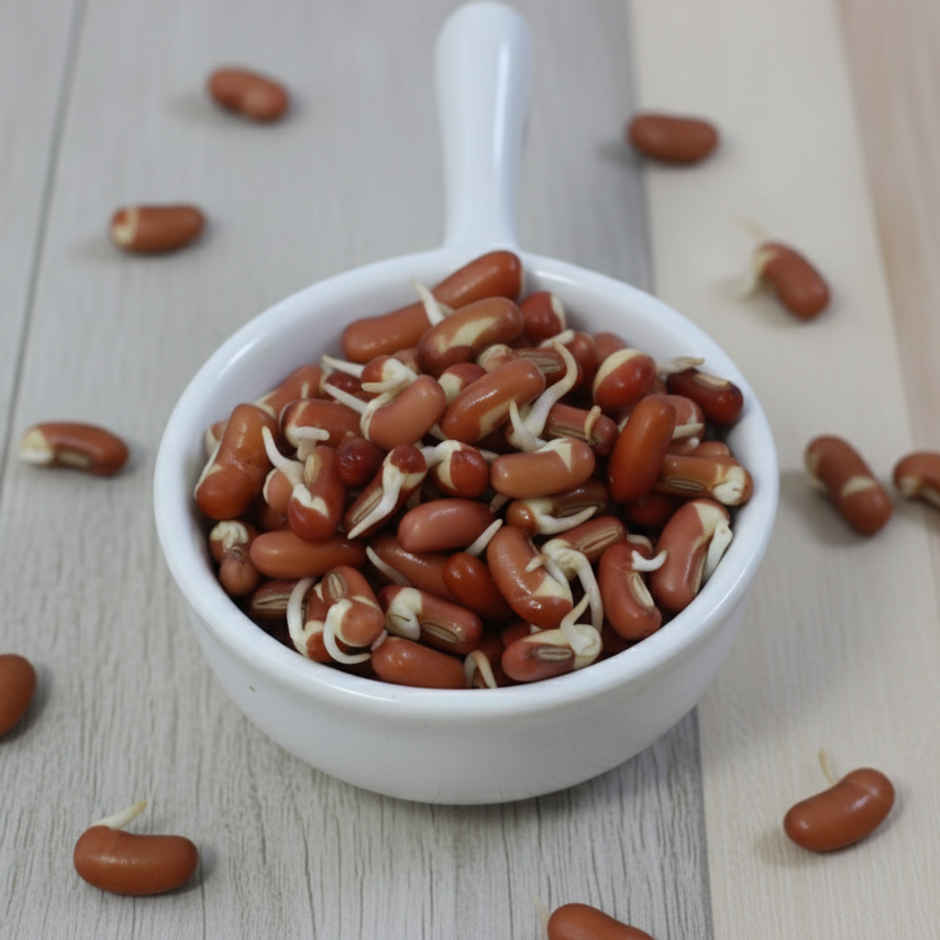 Rajma Sprouts