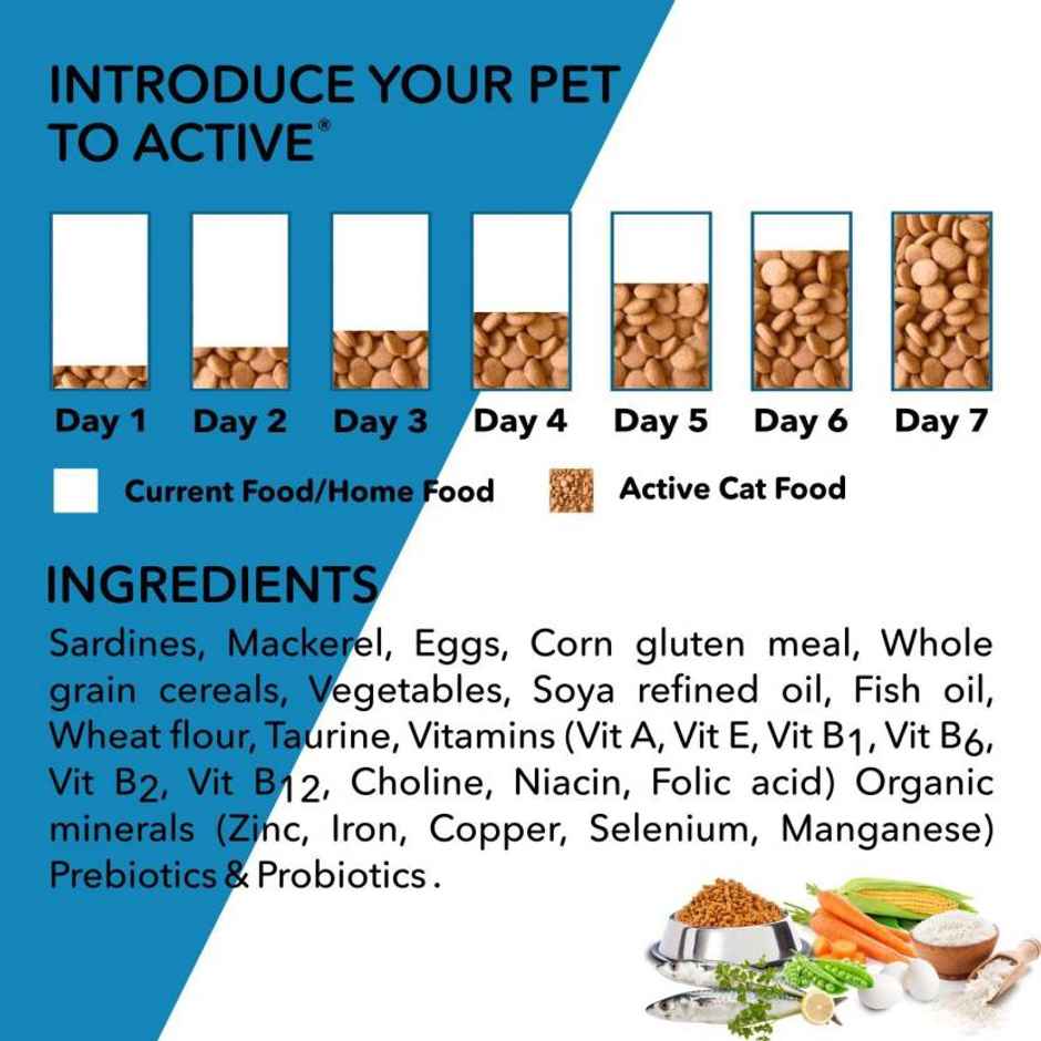 Active Ocean Fish Dry Adult Cat Food