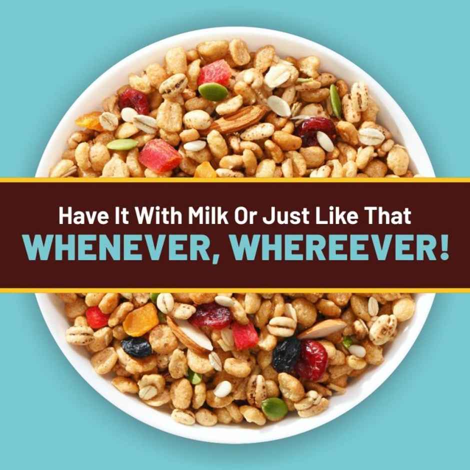 RiteBite Max Protein Fruit & Nut Protein Muesli