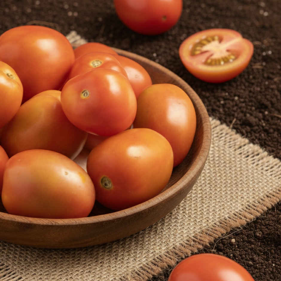 Organically Grown Tomato Hybrid
