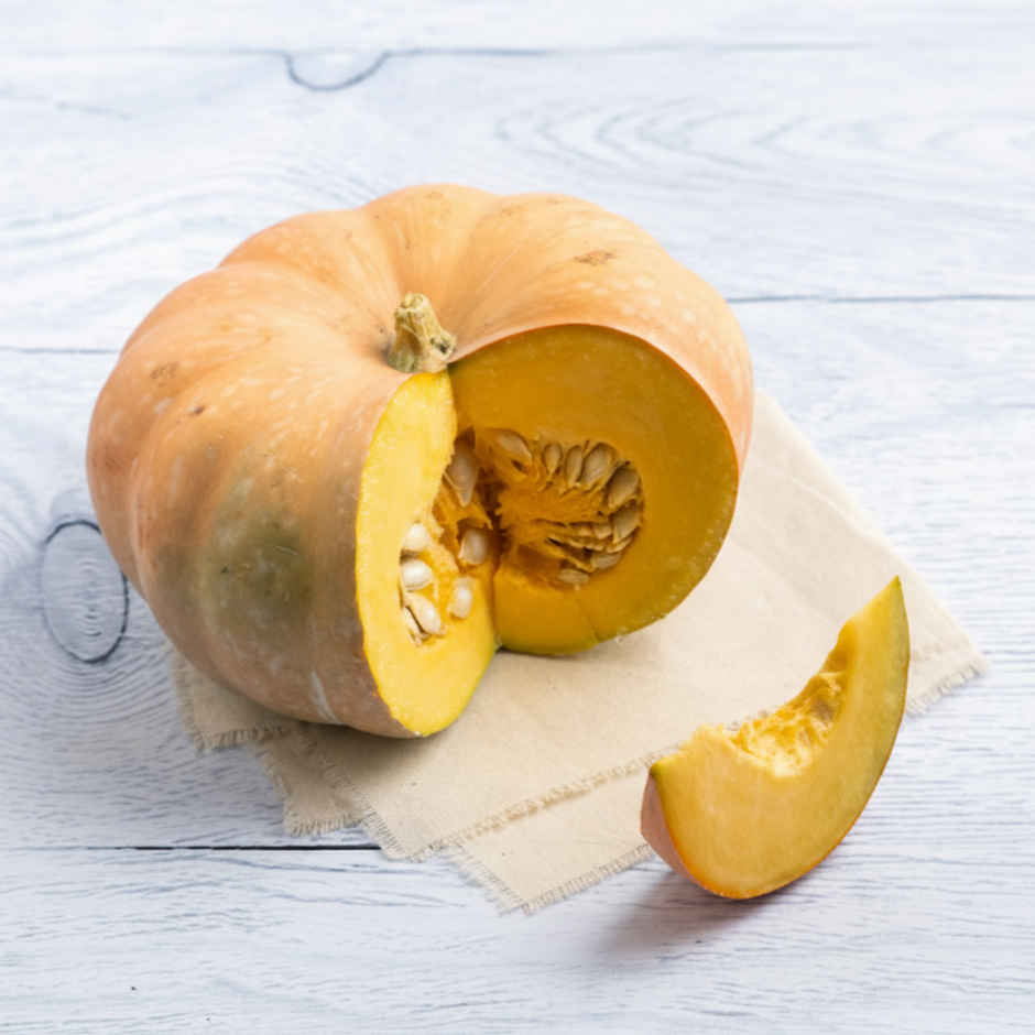 Pumpkin Disco (Lal Bhopala)
