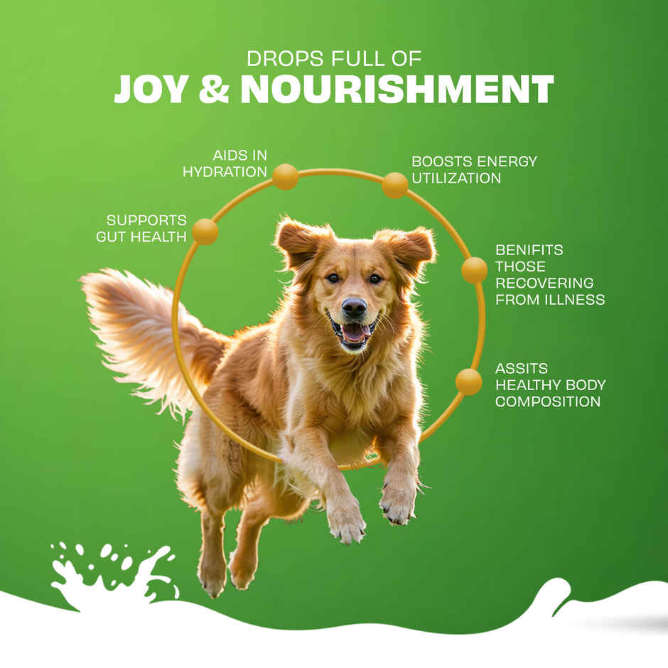 Pawfect Nature's Sip 100% Natural Goat Milk Powder for Dogs & Puppies