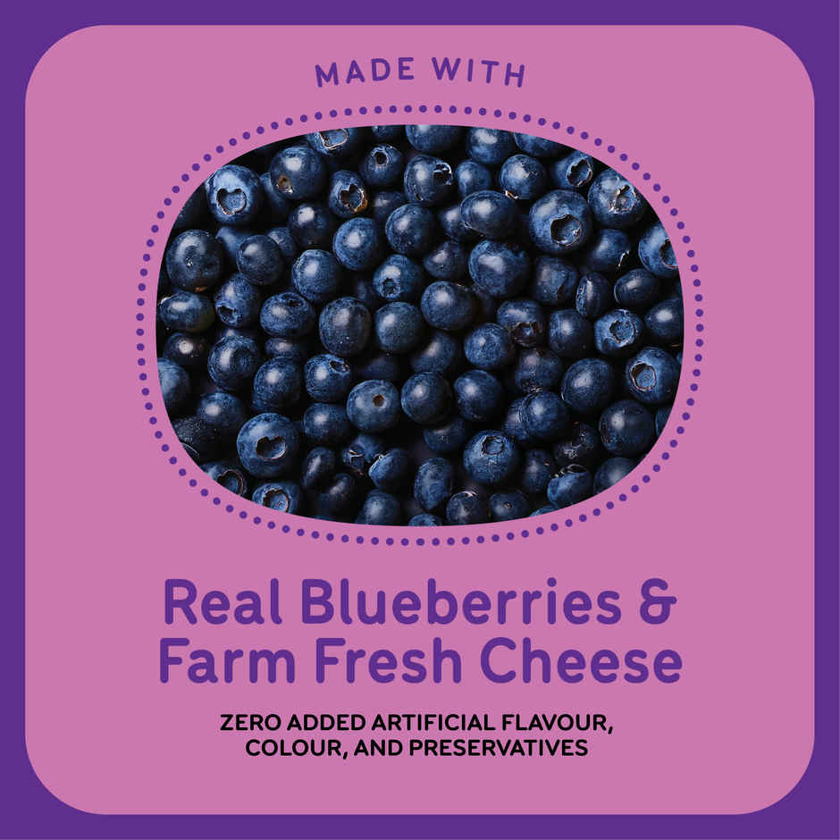 Go Zero Blueberry Cheesecake Guilt Free Ice Cream Cup