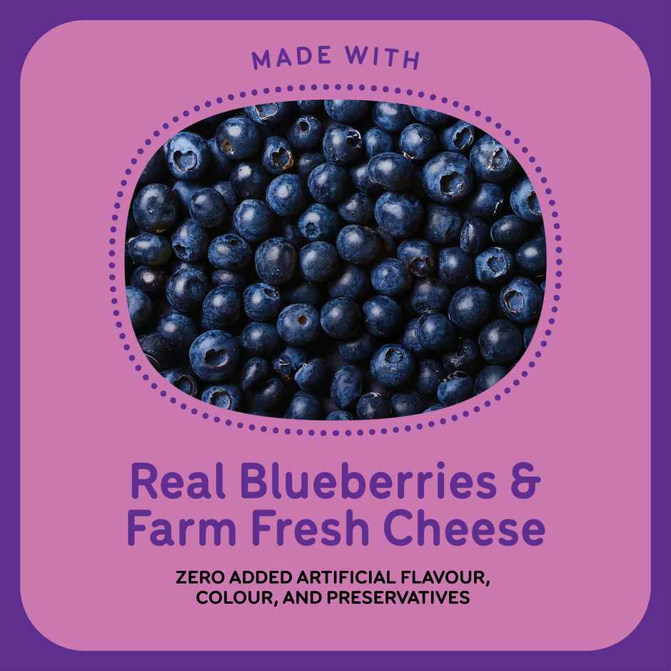Go Zero Blueberry Cheesecake Guilt Free Ice Cream Cup