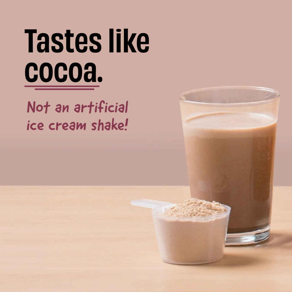 The Whole Truth Light Cocoa Whey 24G Protein Pack of 6